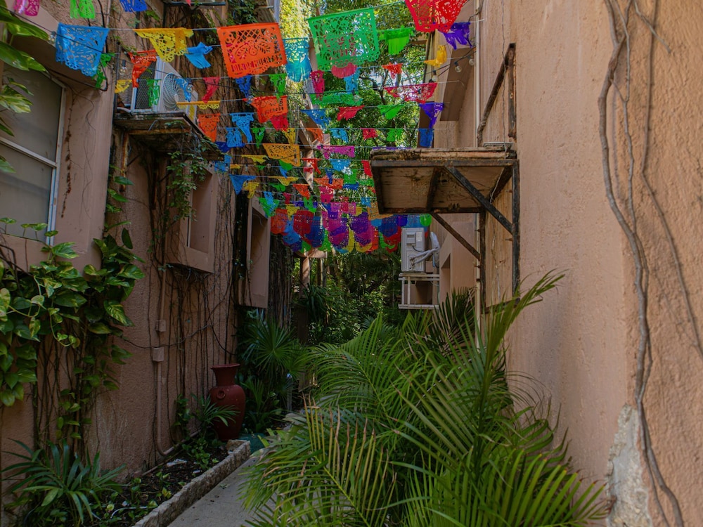 Tukan Hotel Playa del Carmen — Attractions in the area in Playa del Carmen, Quintana Roo