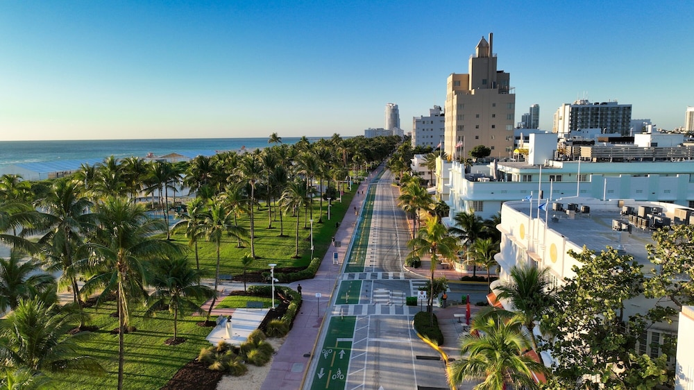 Cardozo Hotel South Beach — Attractions in the area in Miami, Florida