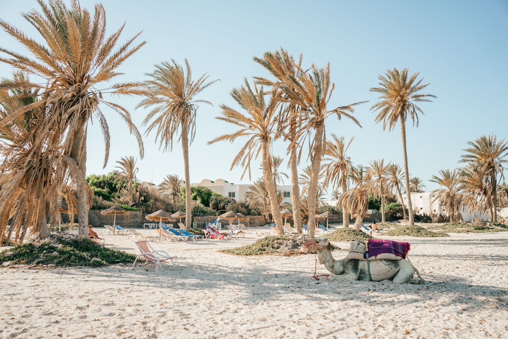 Djerba Castille- Family Only — Beach in Aghir, Medenine