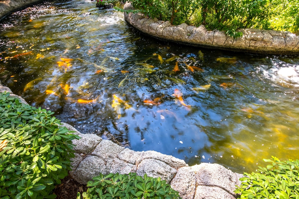 Mirada Del Mar Hotel - All Inclusive — Attractions in the area in Kemer