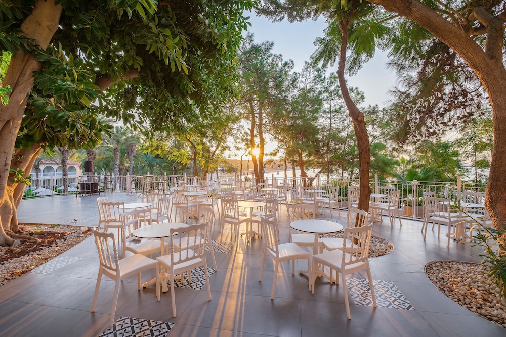 Utopia Beach Club — Restaurant in Avsallar