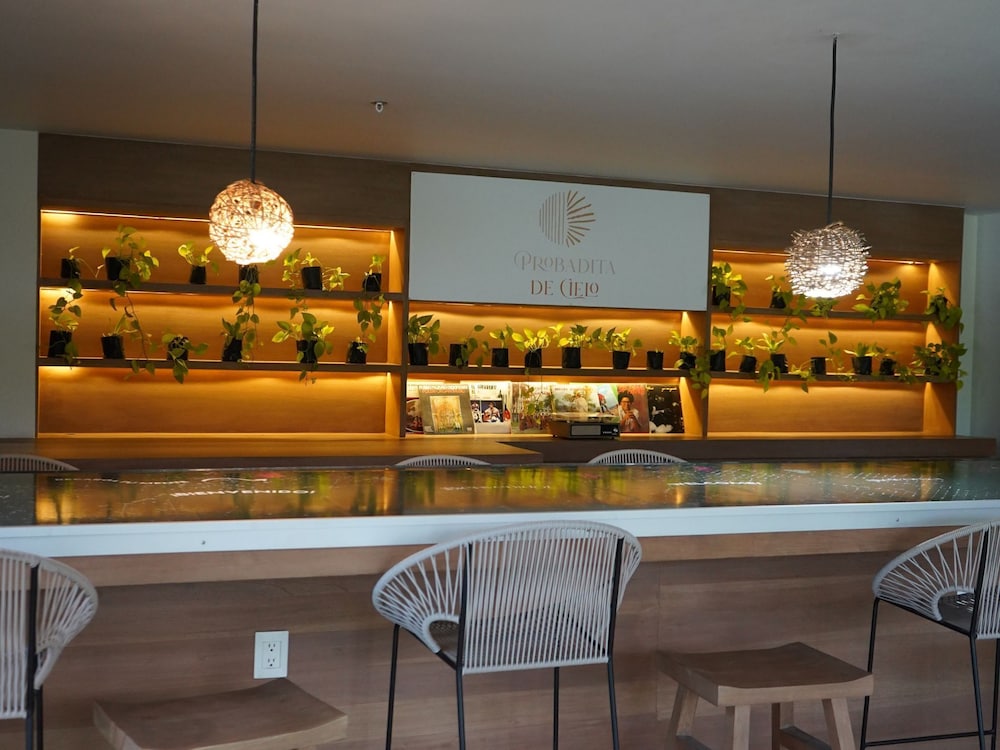 Siente Tulum Hotel & Cenote Club — Shared spaces in Tulum, Quintana Roo