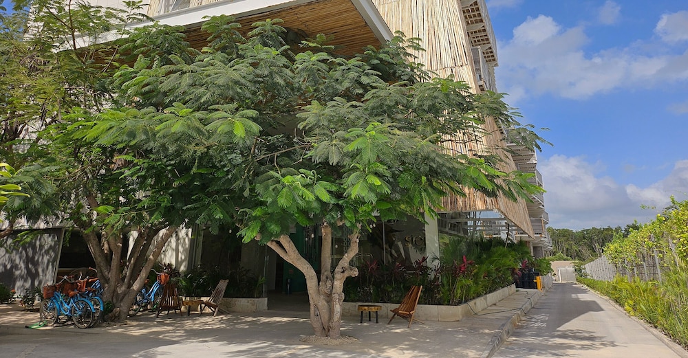 Siente Tulum Hotel & Cenote Club — Outdoor in Tulum, Quintana Roo