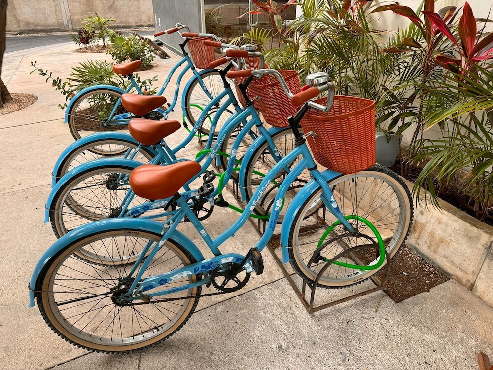 Siente Tulum Hotel & Cenote Club — On-site activities in Tulum, Quintana Roo