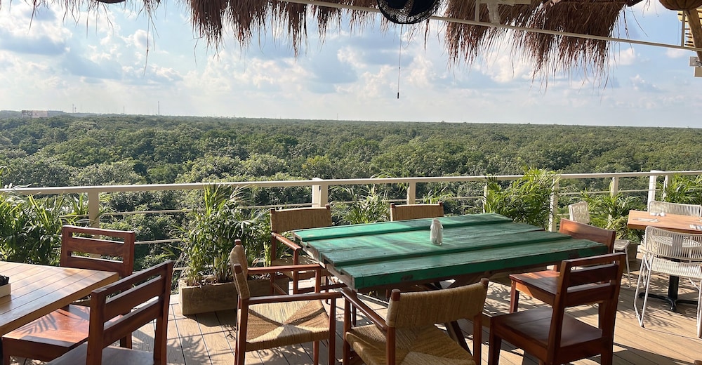 Siente Tulum Hotel & Cenote Club — Restaurant in Tulum, Quintana Roo