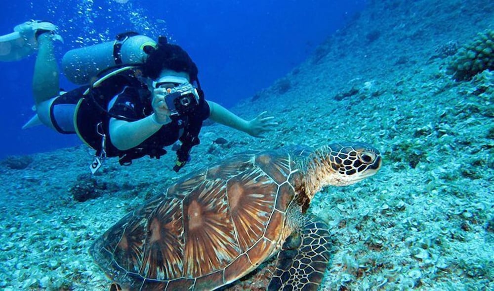 The Oberoi, Sahl Hasheesh — Sports & recreation in Hurghada, Red Sea