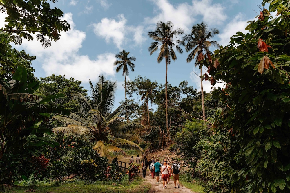 Rabot Hotel from Hotel Chocolat — Attractions in the area in Soufriere