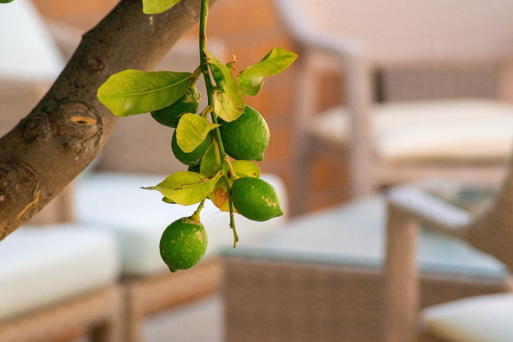 Thalassi Hotel — Rooms in Rethymnon
