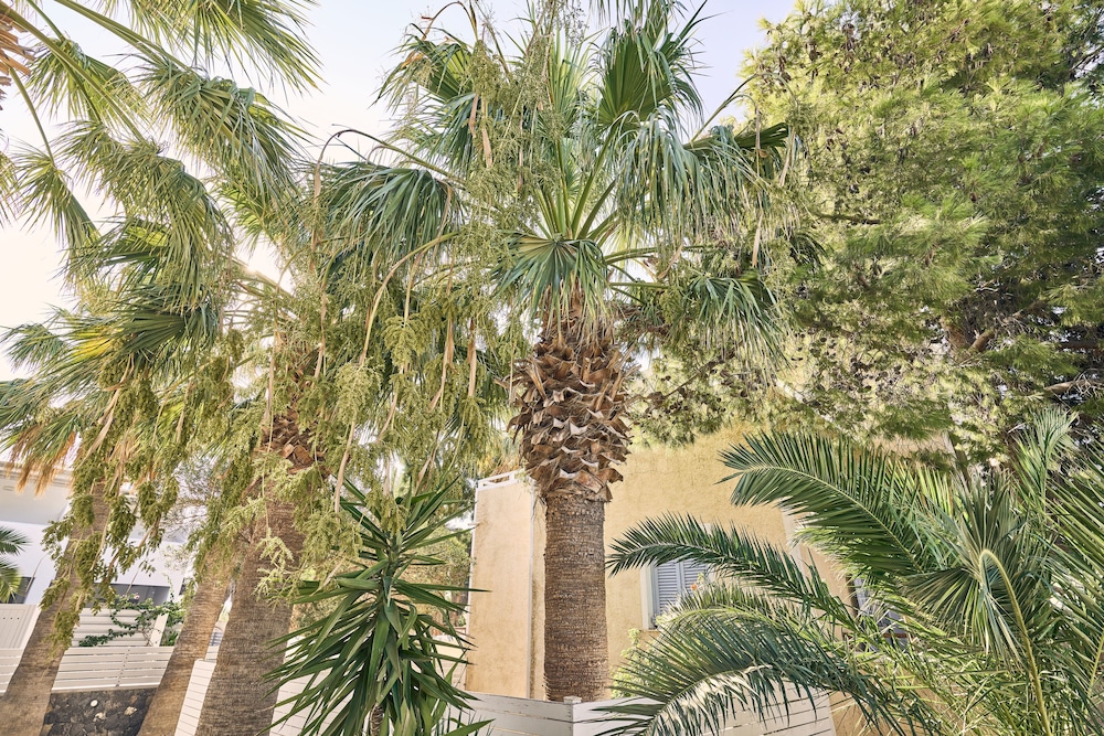 Meltemi Village — Hotel building in Perissa, South Aegean