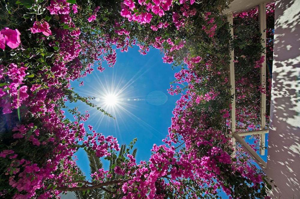 Atlantis Beach Villa — Attractions in the area in Perissa, South Aegean