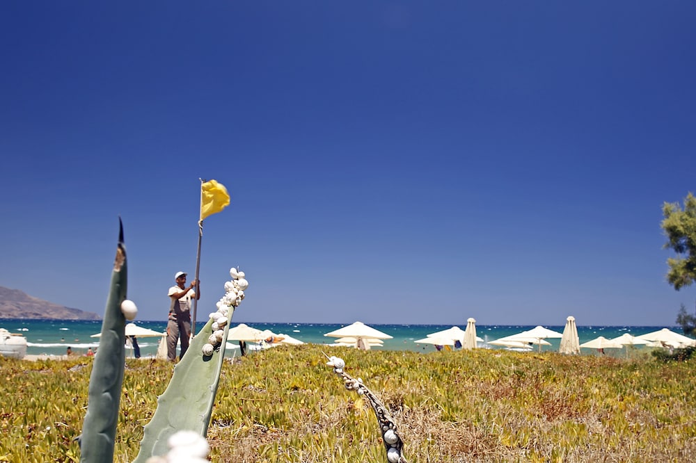 Orpheas Resort - Adults Only — Beach in Georgioupolis