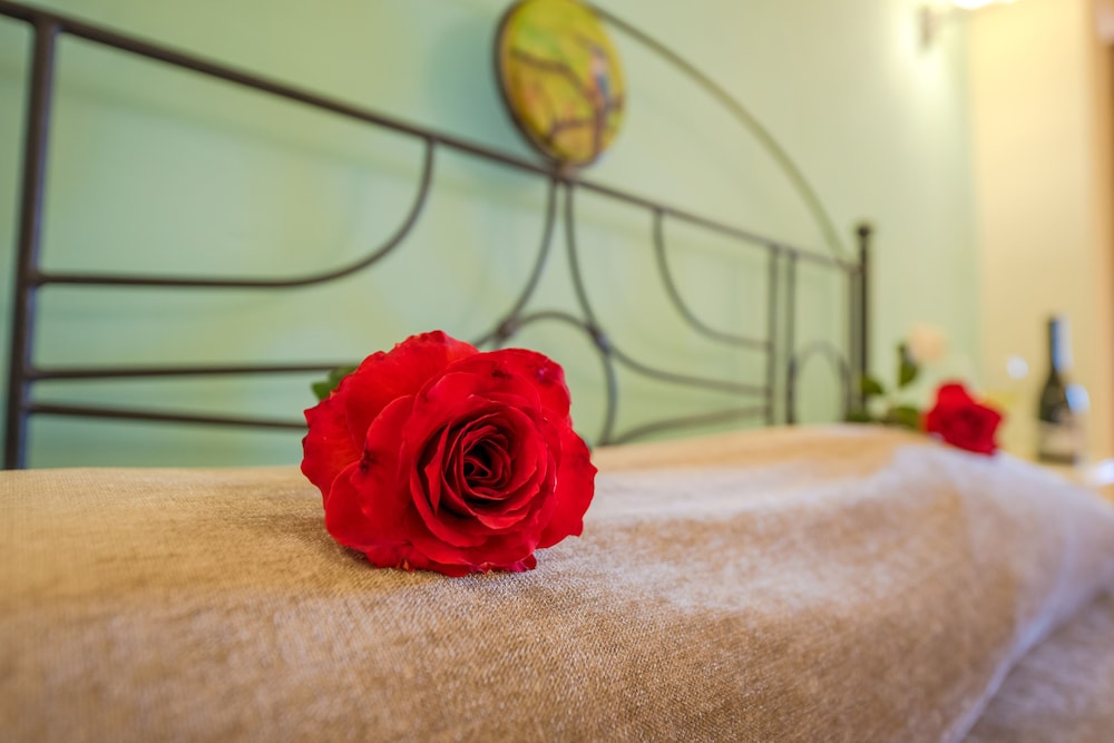 Orpheas Resort - Adults Only — Hotel rooms in Georgioupolis