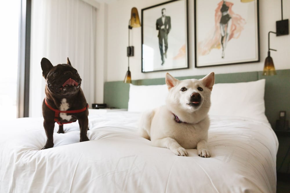 The Godfrey Hotel Hollywood — Hotel rooms in Los Angeles, California