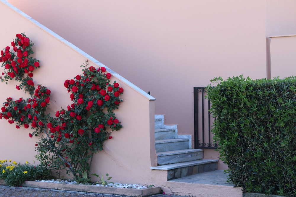 Pegasus Hotel — Hotel building in Roda, Ionian Islands
