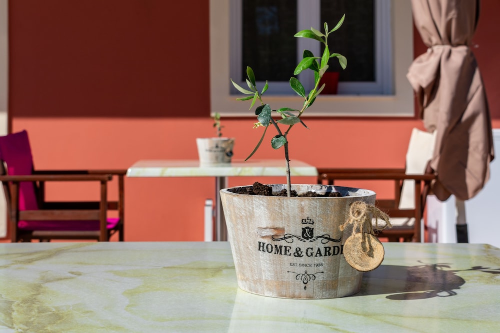 Zante Pantheon Hotel — Restaurant & bars in Tsilivi, Ionian Islands