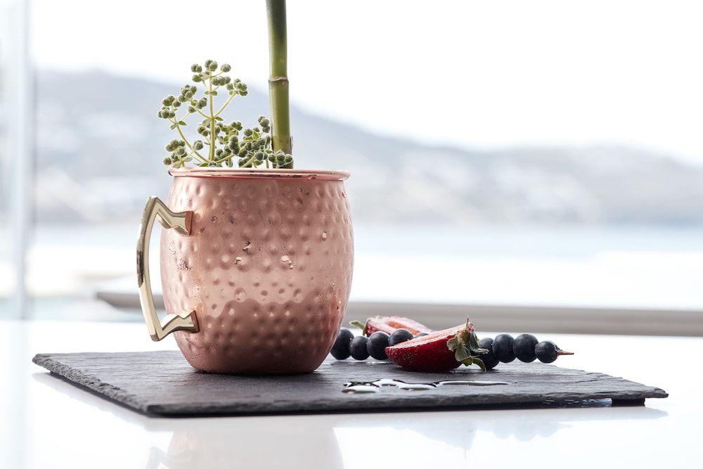 Absolute Mykonos Suites & More — Restaurant & bars in Mykonos Town, South Aegean