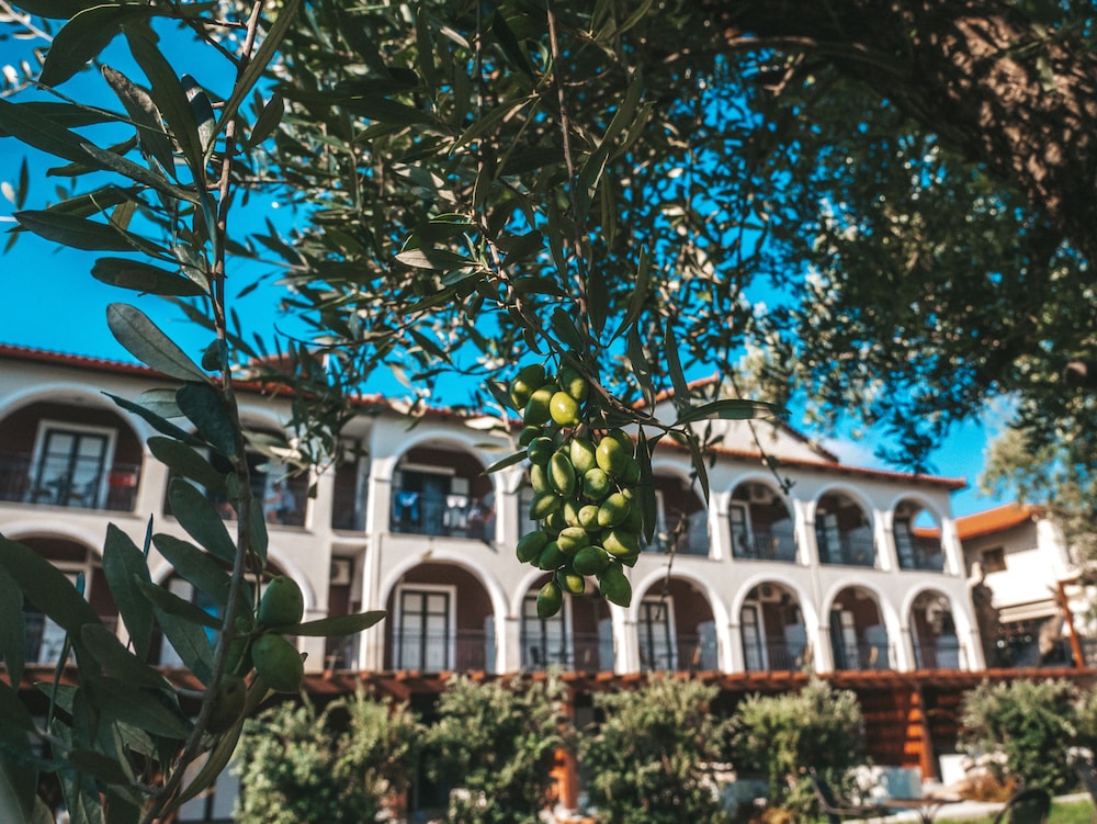 Castelli Hotel Adults Only - All Inclusive — Hotel building in Laganas, Ionian Islands