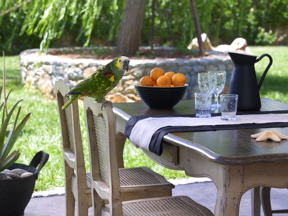 SunVillage Boutique Hotel — Restaurant & bars in Malia