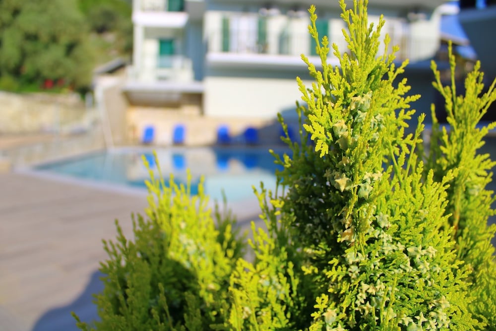 Vergina Star — Swimming pool in Lefkada, Ionian Islands