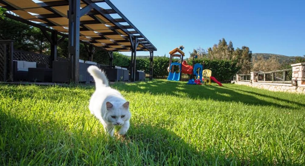 Kookis Village — Attractions for children in Keri, Ionian Islands