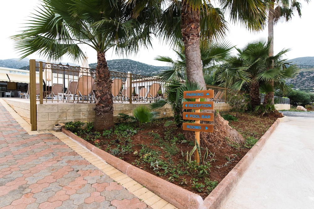 Newcastle Studios — Restaurant & bars in Malia
