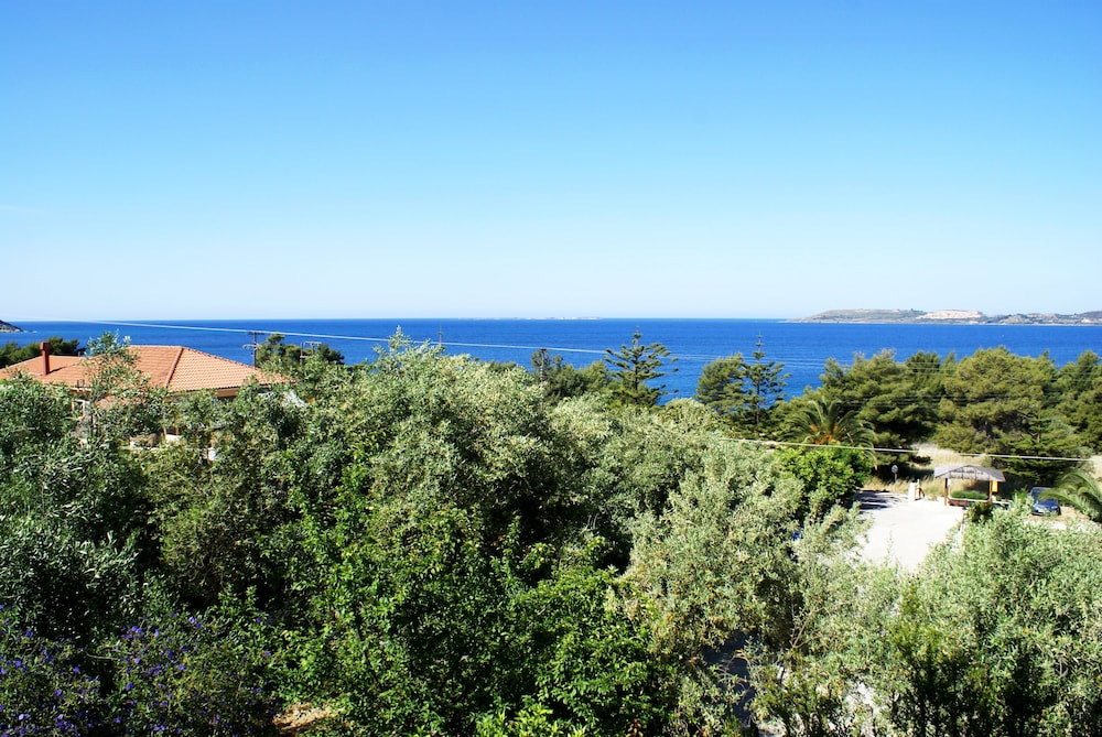 Oskars Studios & Apartments — Attractions in the area in Lassi, Ionian Islands