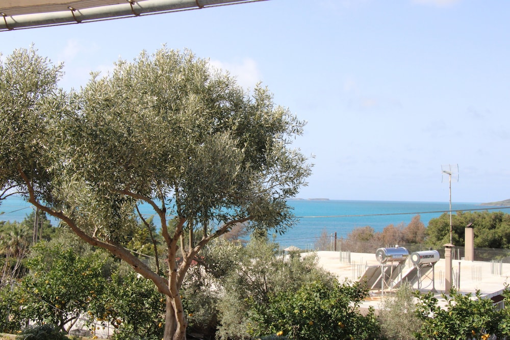 Oskars Studios & Apartments — Attractions in the area in Lassi, Ionian Islands