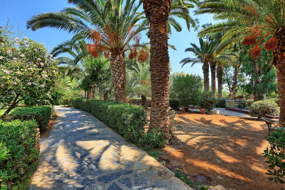 Apollonia Beach Resort & Spa — Attractions in the area in Gazi
