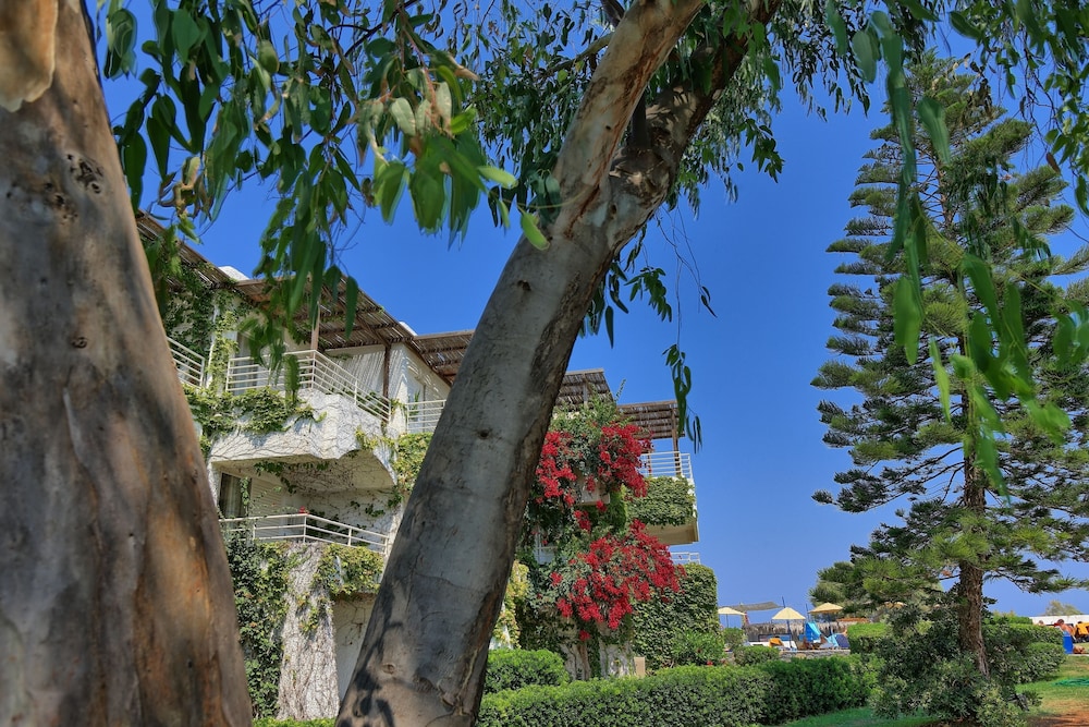 Apollonia Beach Resort & Spa — Hotel building in Gazi