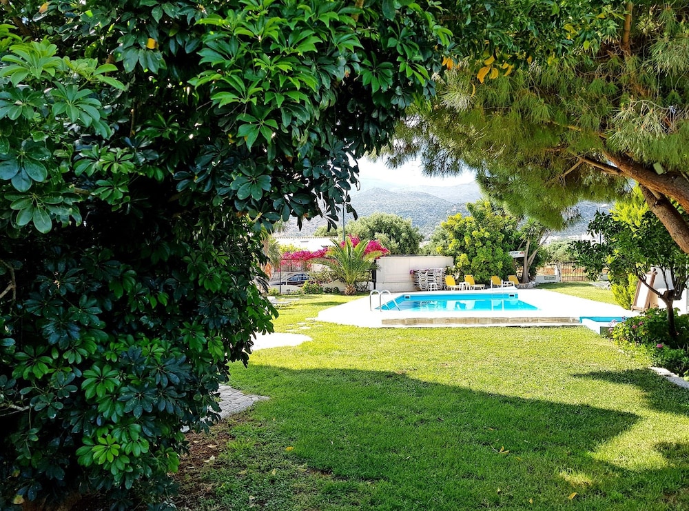 Marianna Studios — Swimming pool in Malia