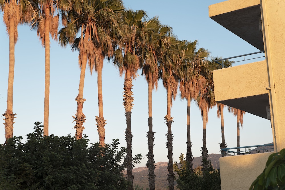 Oasis Tigaki — Hotel building in Tigaki, South Aegean