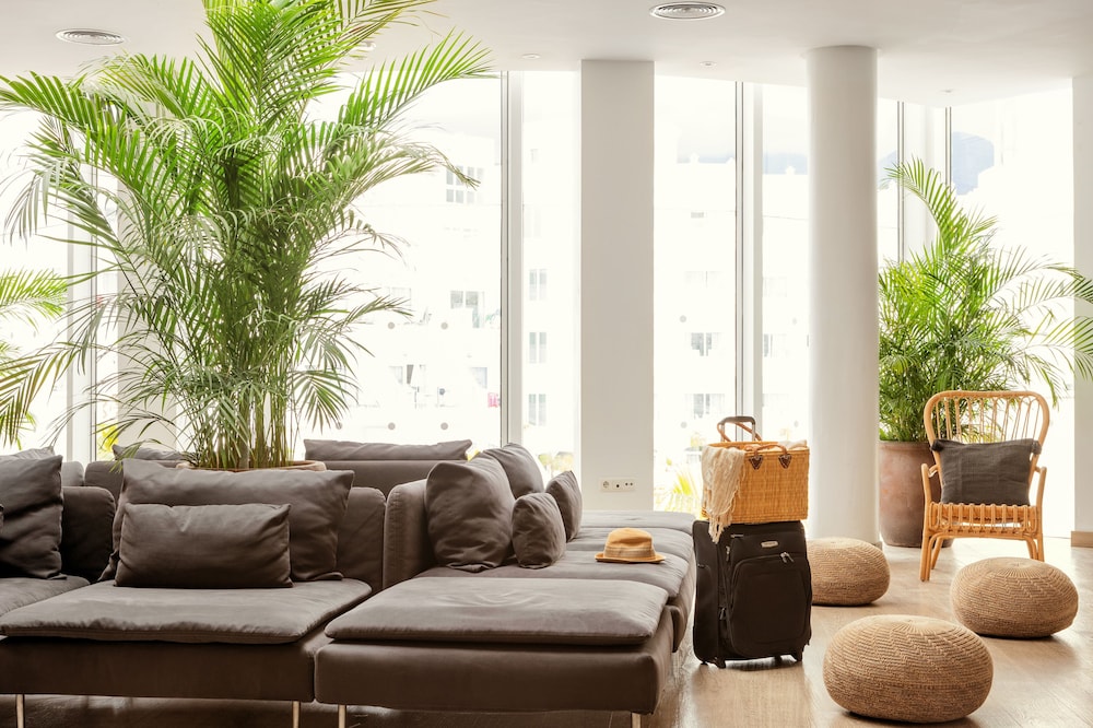 Sunwing Fanabe Beach — Hotel rooms in Costa Adeje, Canary Islands
