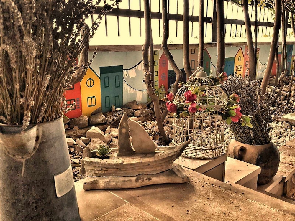 Hotel Delfin — Attractions in the area in Zadar, Zadar