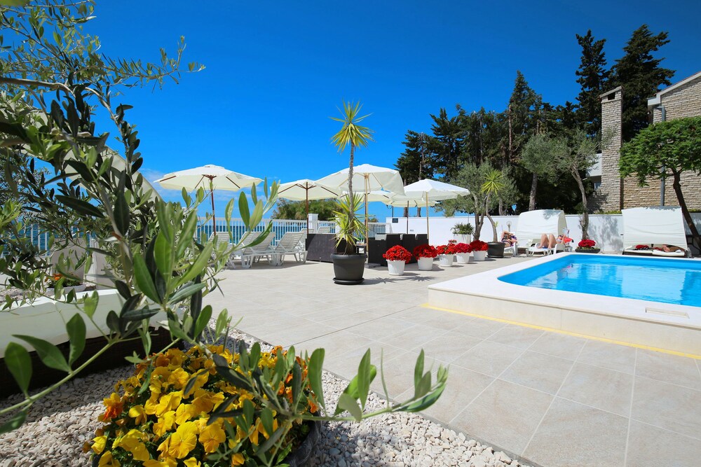 Villa Triana — Swimming pool in Zadar, Zadar