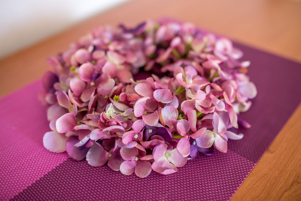 Garden Apartment Hotel — Spa in Split, Split-Dalmatia