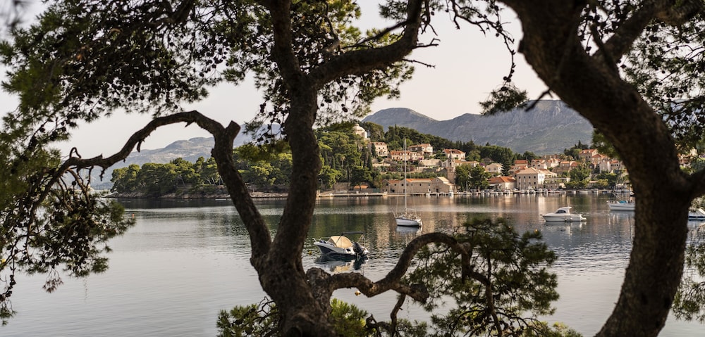 Hotel Supetar Cavtat — Attractions in the area in Konavle, Dubrovnik-Neretva