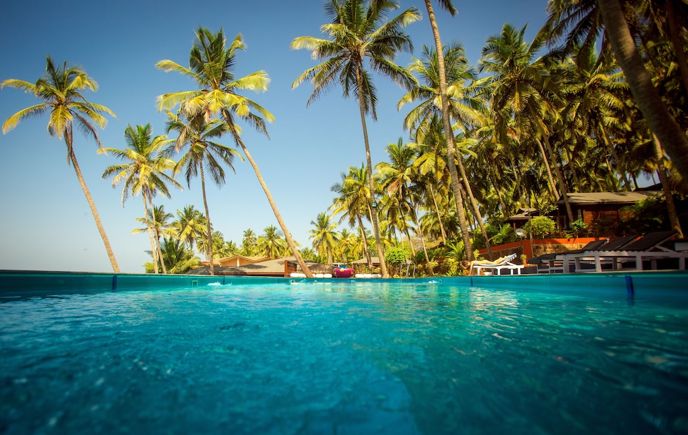 Riva Beach Resort — Swimming pool in Mandrem, Goa