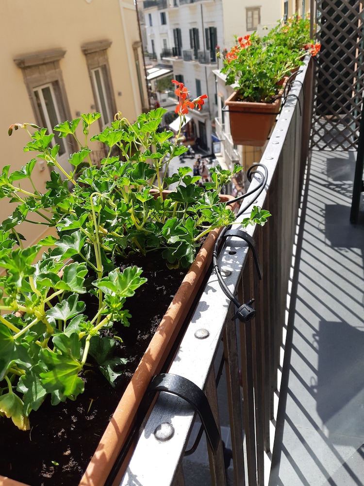 Hotel Antica Repubblica — Attractions in the area in Amalfi, Campania