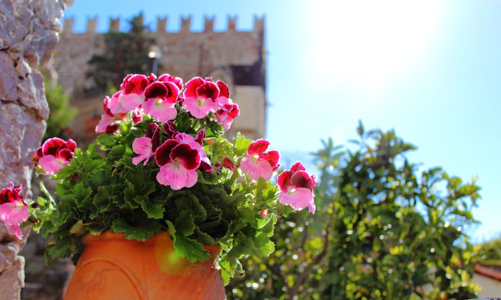 Villa Taormina — Attractions in the area in Taormina, Sicily