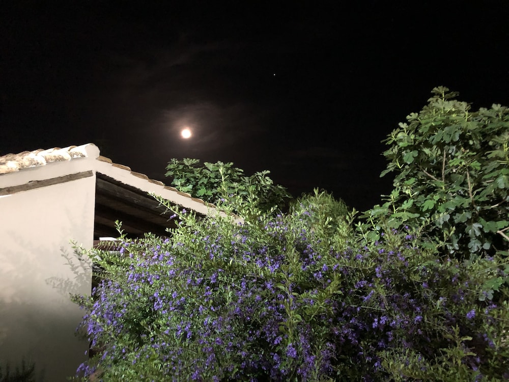 Relais Rio Molas — Attractions in the area in Muravera, Sardinia