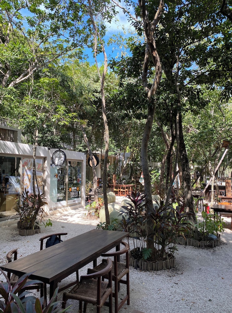 Motto by Hilton Tulum — Restaurant & bars in Tulum, Quintana Roo
