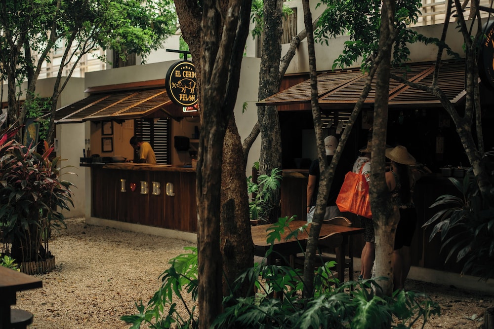 Motto by Hilton Tulum — Restaurant & bars in Tulum, Quintana Roo