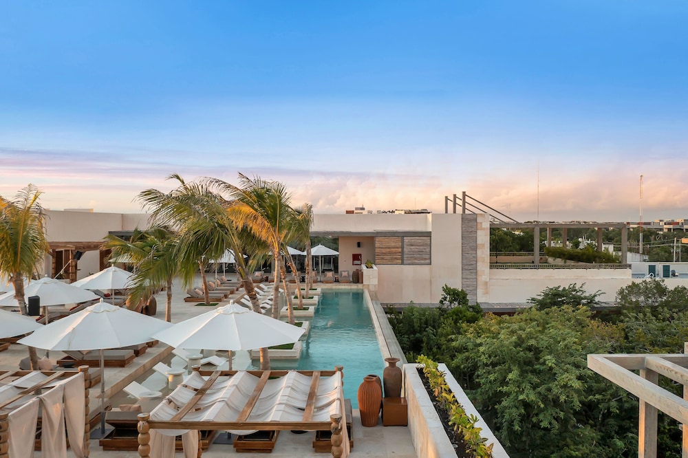 Motto by Hilton Tulum — Swimming pool in Tulum, Quintana Roo