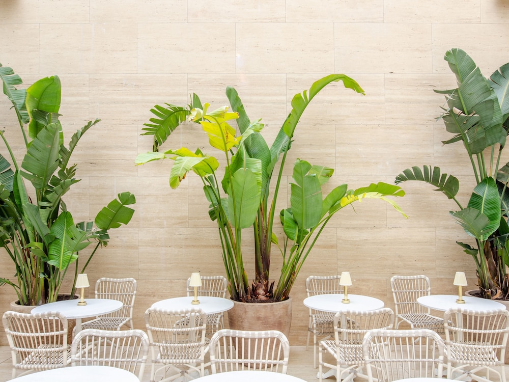 Browns Avenue Hotel — Restaurant & bars in Lisbon, Lisboa