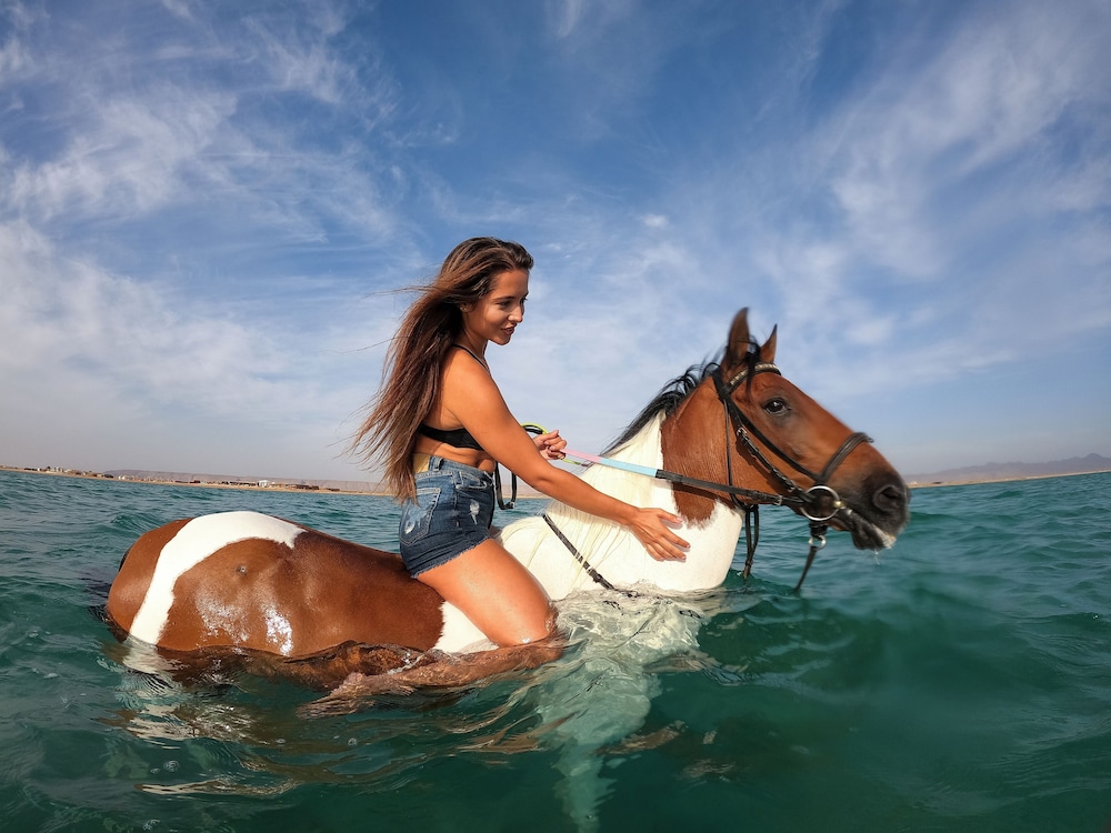 Captain's Inn — Sports & recreation in El Gouna, Red Sea