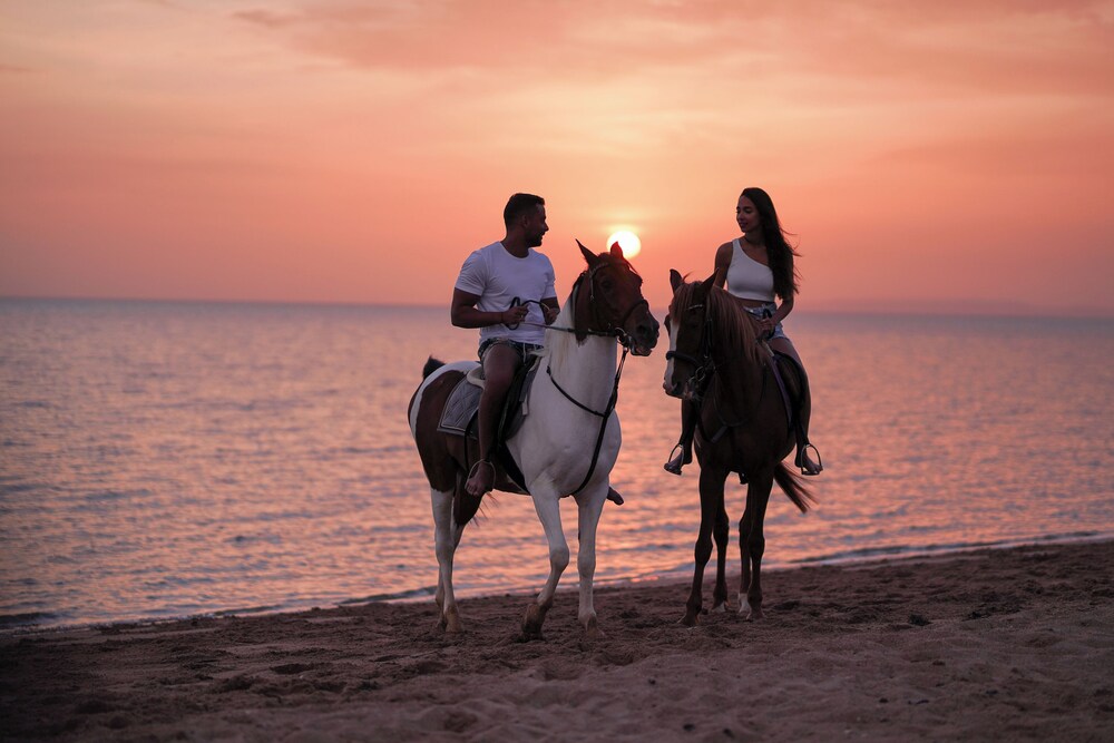 Captain's Inn — Beach in El Gouna, Red Sea