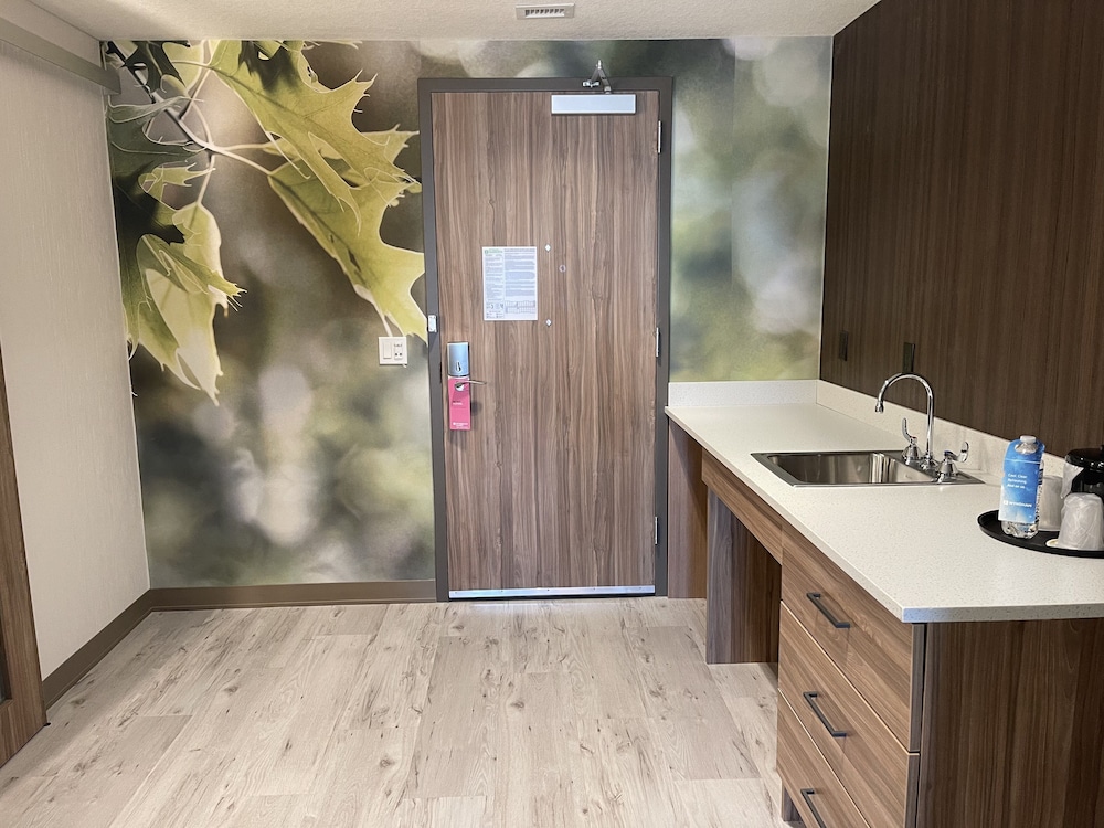 Wyndham Garden Orlando Universal / I Drive — Hotel rooms in Orlando, Florida