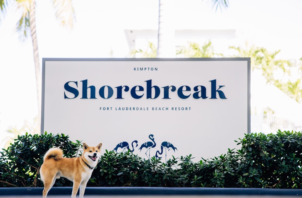 Kimpton Shorebreak Fort Lauderdale Beach Resort by IHG — Hotel building in Fort Lauderdale, Florida