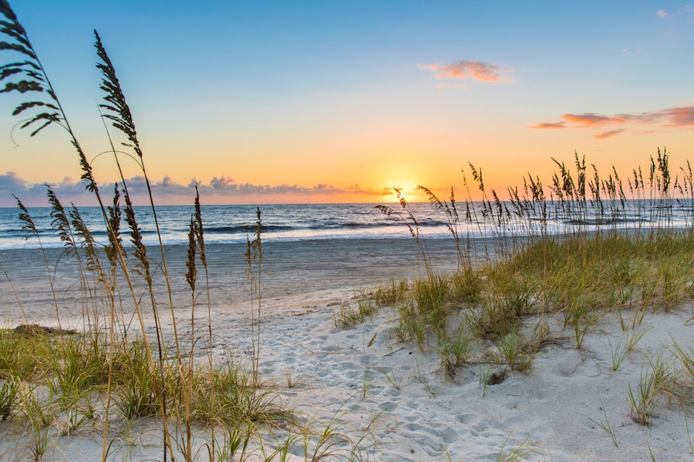 SpringHill Suites by Marriott Amelia Island — Beach in Amelia Island, Florida