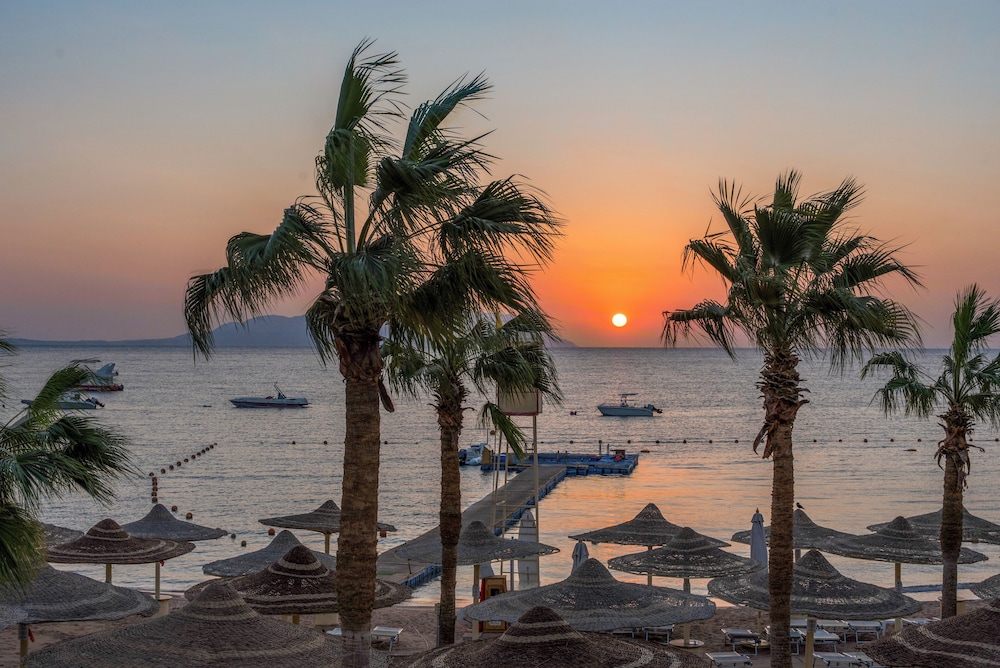 Royal Savoy Sharm El Sheikh — Beach in Sharm El Sheikh, Red Sea